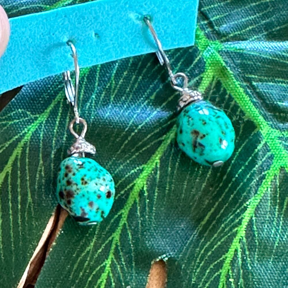 BOGO FREE TURQUOISE LEVER BACK EARRINGS